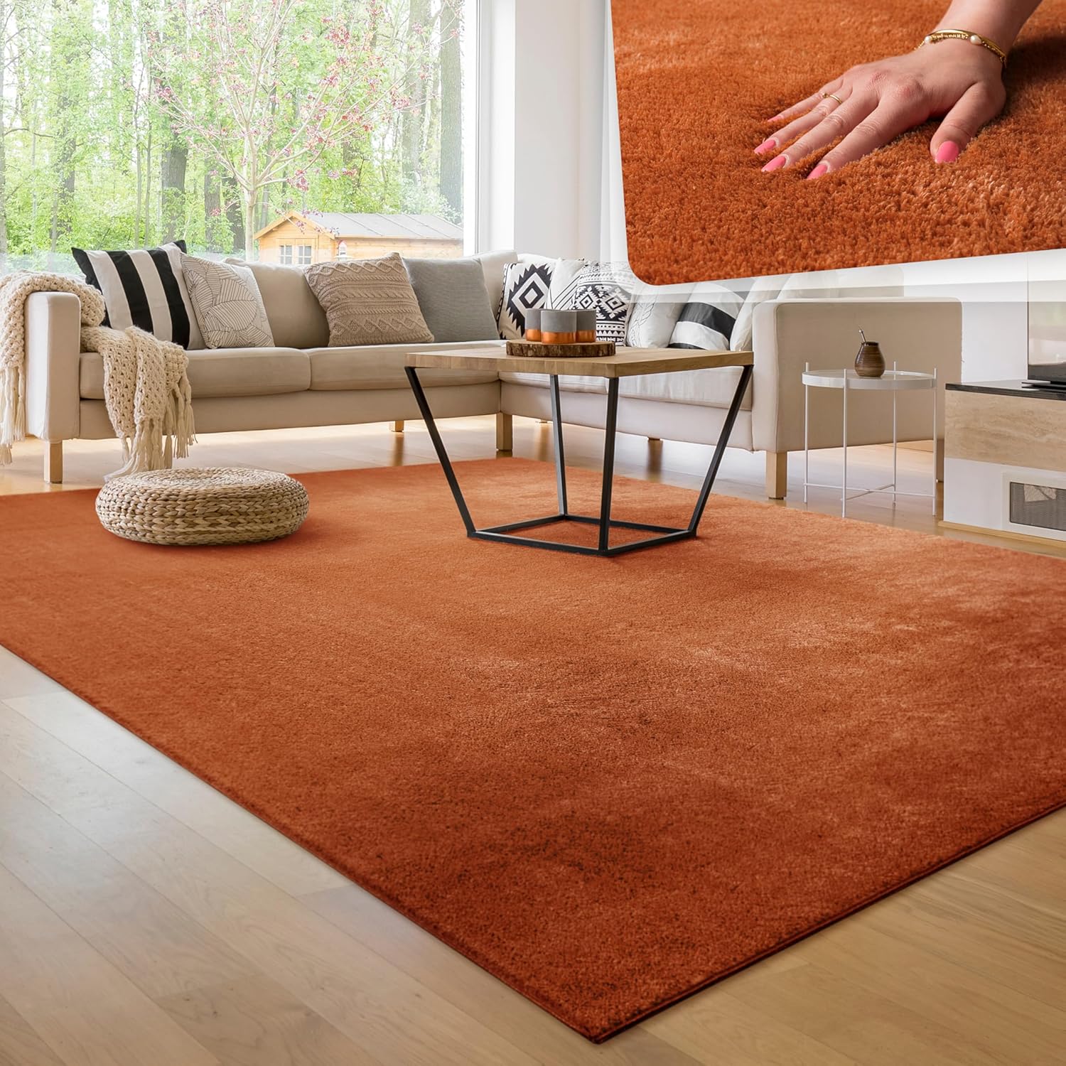 Paco Home Tapis Salon